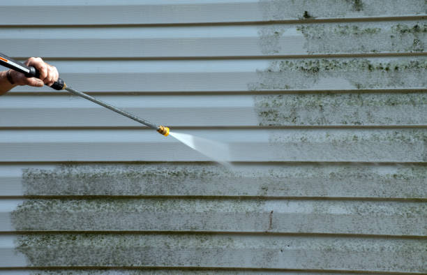 Best Gutter Cleaning  in Van, TX