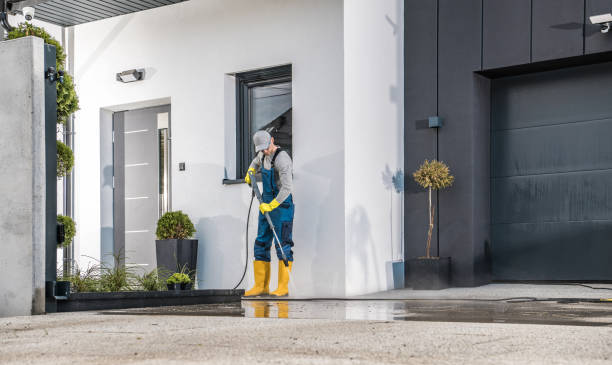 Best Pre-Holiday Cleaning  in Van, TX